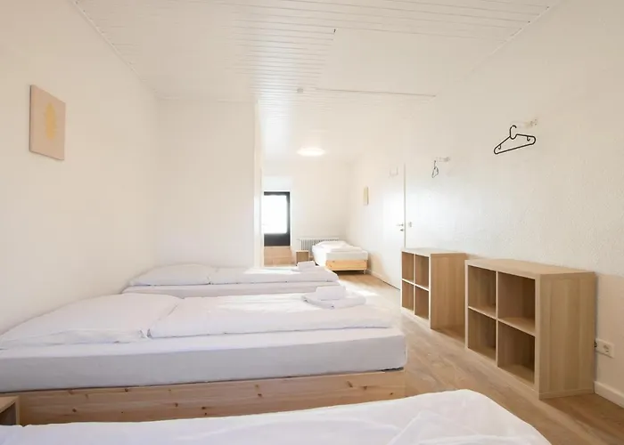 Tolstov - With 2 , 3 And 6 - 15 Min To Messe Dus And Old Town Dus * Dusseldorf