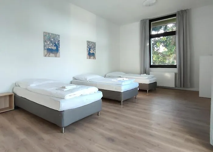 Tolstov - With 2 , 3 And 6 - 15 Min To Messe Dus And Old Town Dus Düsseldorf