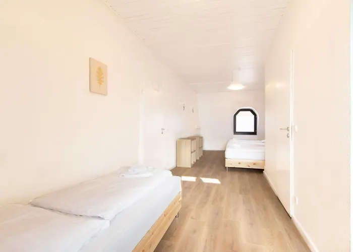 Tolstov - With 2 , 3 And 6 - 15 Min To Messe Dus And Old Town Dus *